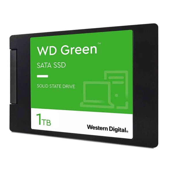 WDS100T3G0A