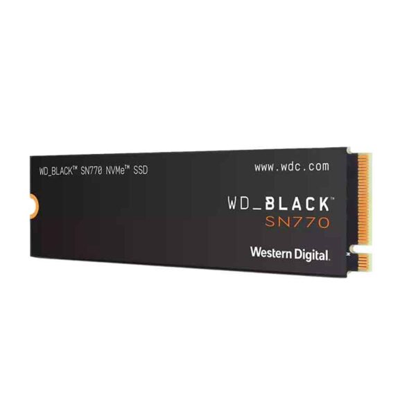 WDS200T3X0E